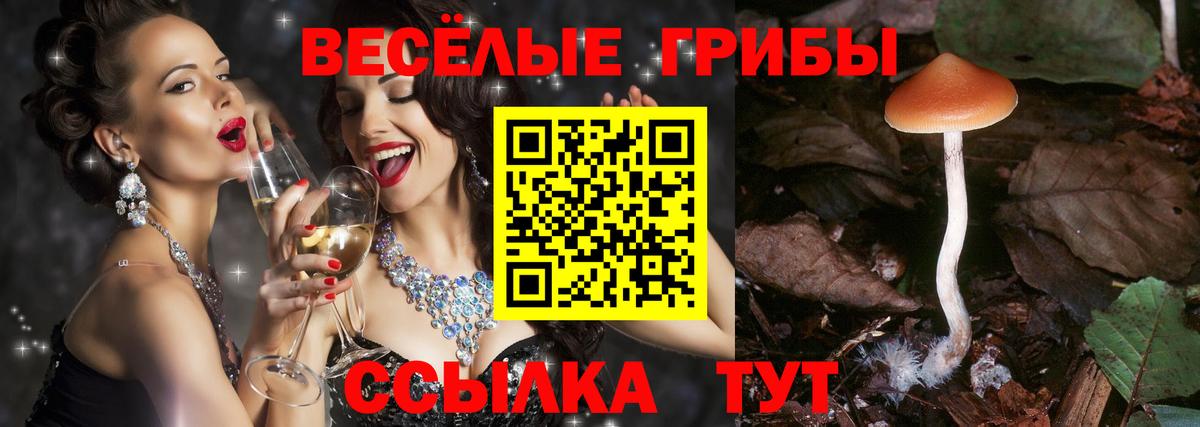 купить наркотик  Вход с VPN  Орск  Псилоцибиновые грибы GOLDEN TEACHER 